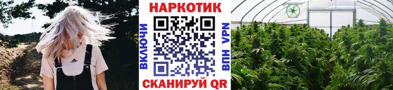 Как найти закладки Сясьстрой Каннабис  Галлюциногенные грибы  ГАШИШ 