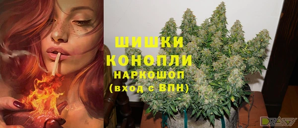 спайс Майский
