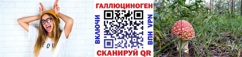 наркота  Сясьстрой  Псилоцибиновые грибы мухоморы 